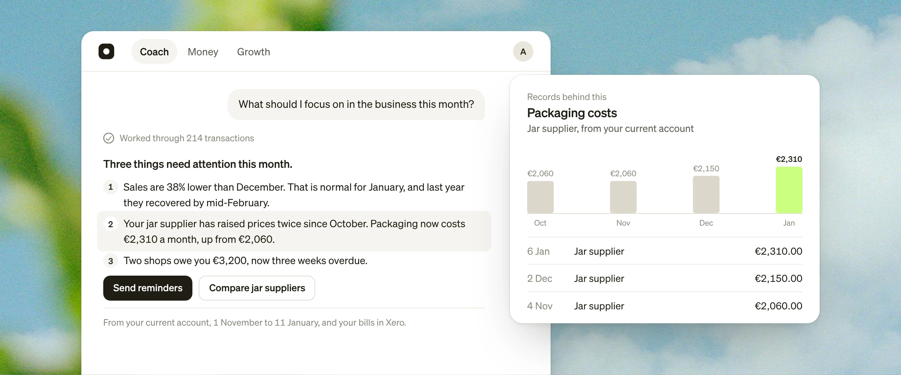 Coach explains this month’s figures to Aoife, and a second panel shows the records behind one point: four monthly payments to her jar supplier, rising from €2,060 to €2,310.