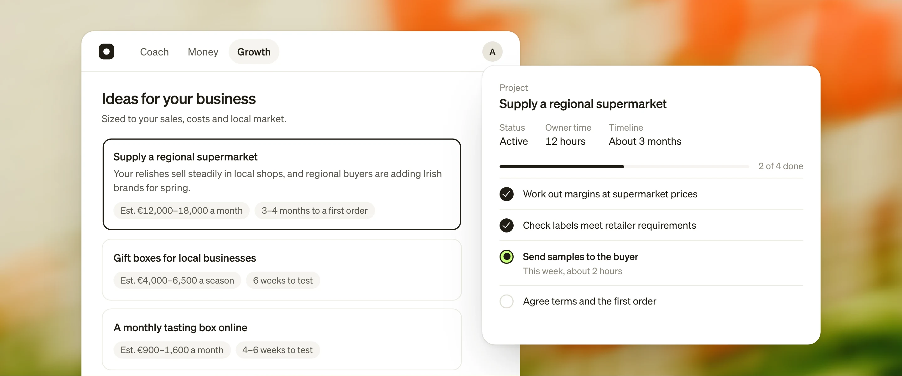 Aoife picks the supermarket idea from her growth ideas and it becomes a four-step project. Two steps are done and the next is sending samples to the buyer this week.